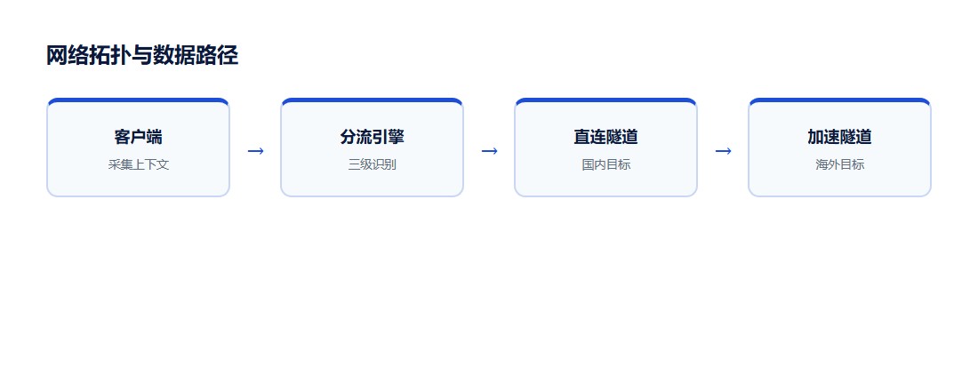 网络拓扑：终端判定 + 双通道出口